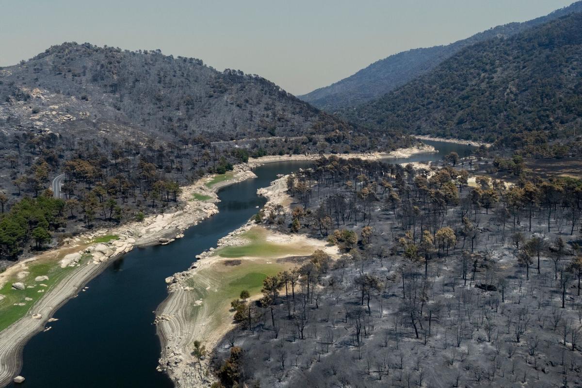Tierra quemada y vegetación cerca del embalse de Burguillo después de un incendio forestal en El Barraco, España, el martes 28 de julio de 2026.