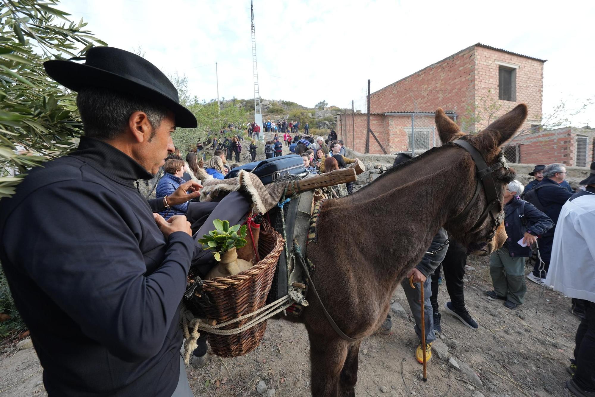 Rogativa de los Pelegrins de Les Useres