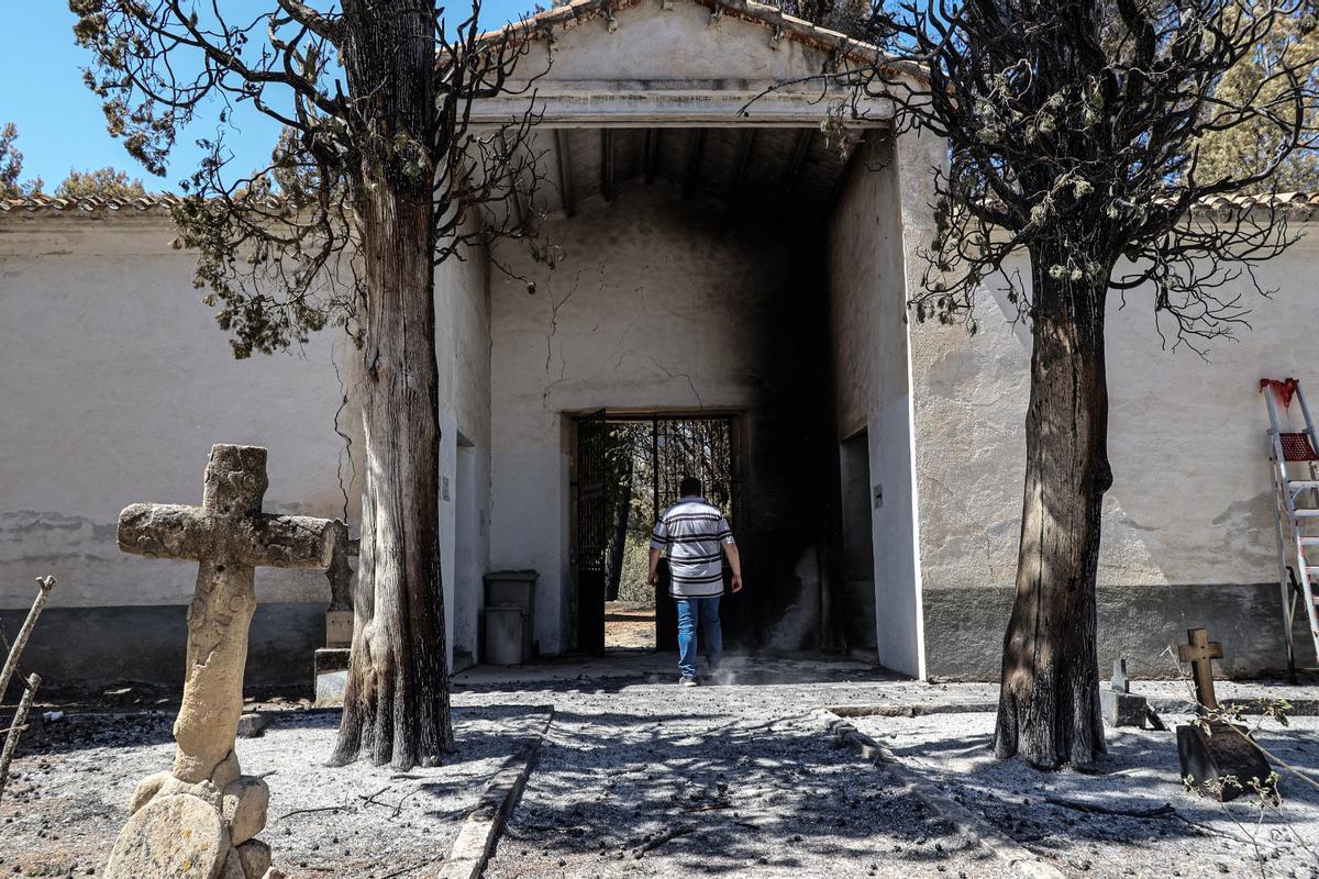 Efectos del fuego en el cementerio de Penàguila, donde se han quemado los árboles.