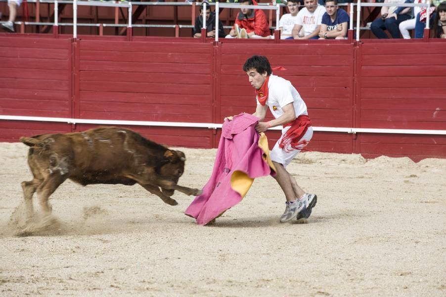 Becerrada, encierros y vaca de la sangría