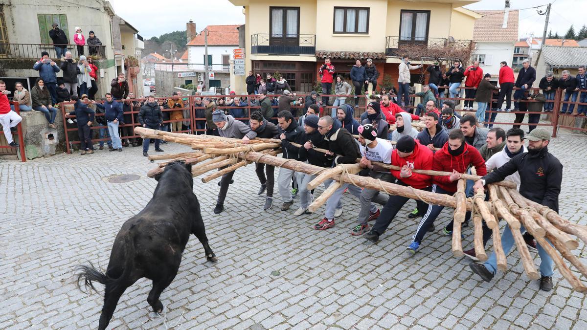 Forcón y bucho, un carnaval único en la frontera hispanolusa