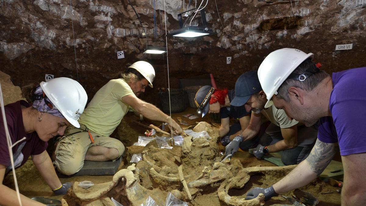Arqueòlegs a la Cova de les Teixoneres, desenterrant l'esquelet d'un dels rinoceronts