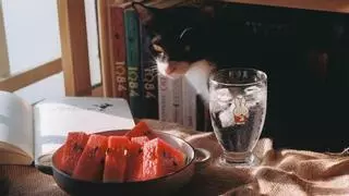 ¿Pueden los gatos comer sandía en verano?