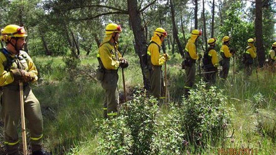 El fuego arrasó 414 hectáreas en enero de 2013