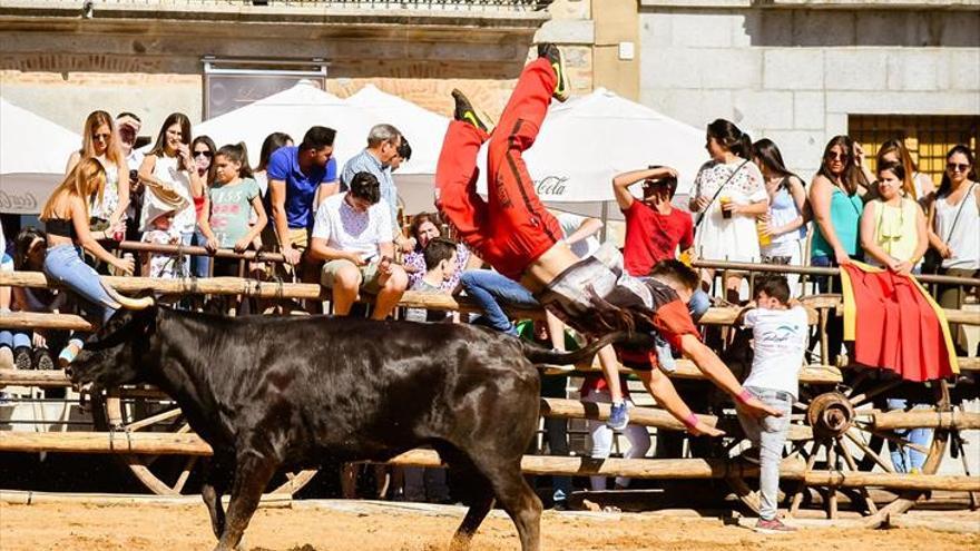 La vaca de San Isidro atrae a numerosos aficionados taurinos