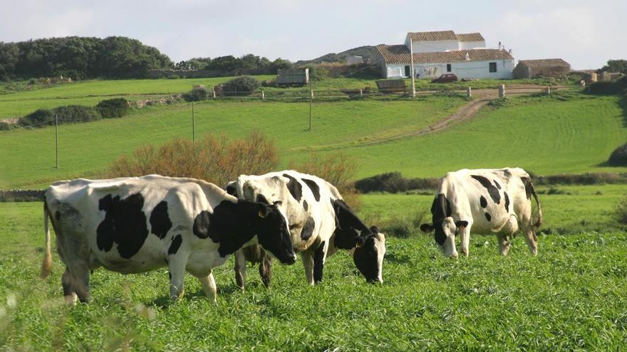 La producción sostenible: el reto de la sociedad verde que viene