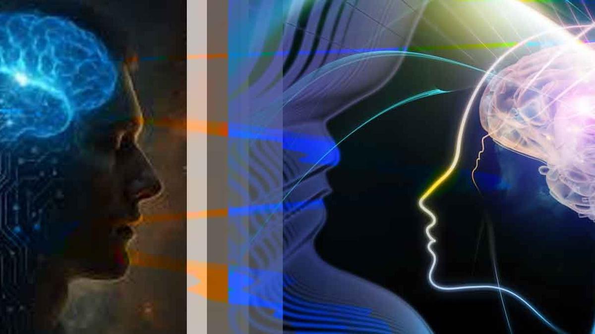 A través de ondas ultrasónicas, los científicos pueden ver qué partes del cerebro generan experiencias como la visión o el dolor.