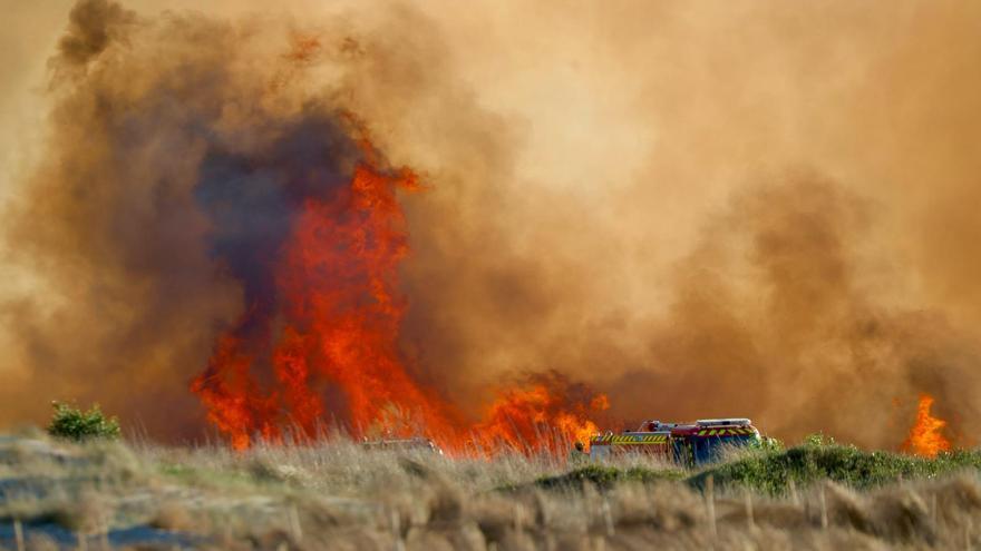 Declarado un incendio en el Saler