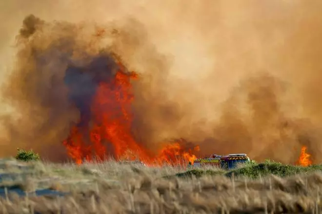 Declarado un incendio en el Saler