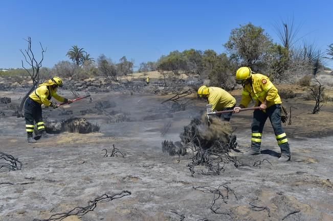 Incendio en la zona de las dunas de Maspalomas