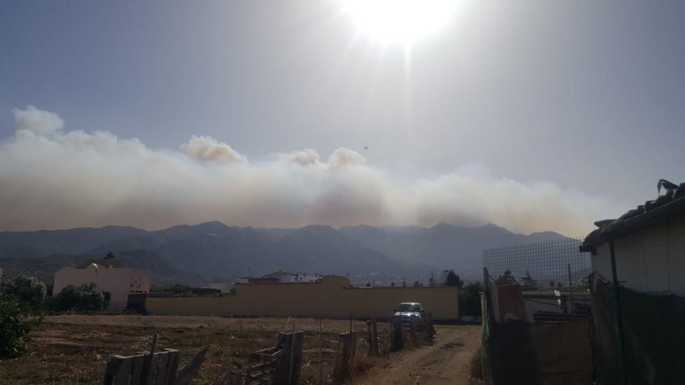 Incendio originado en Tejeda