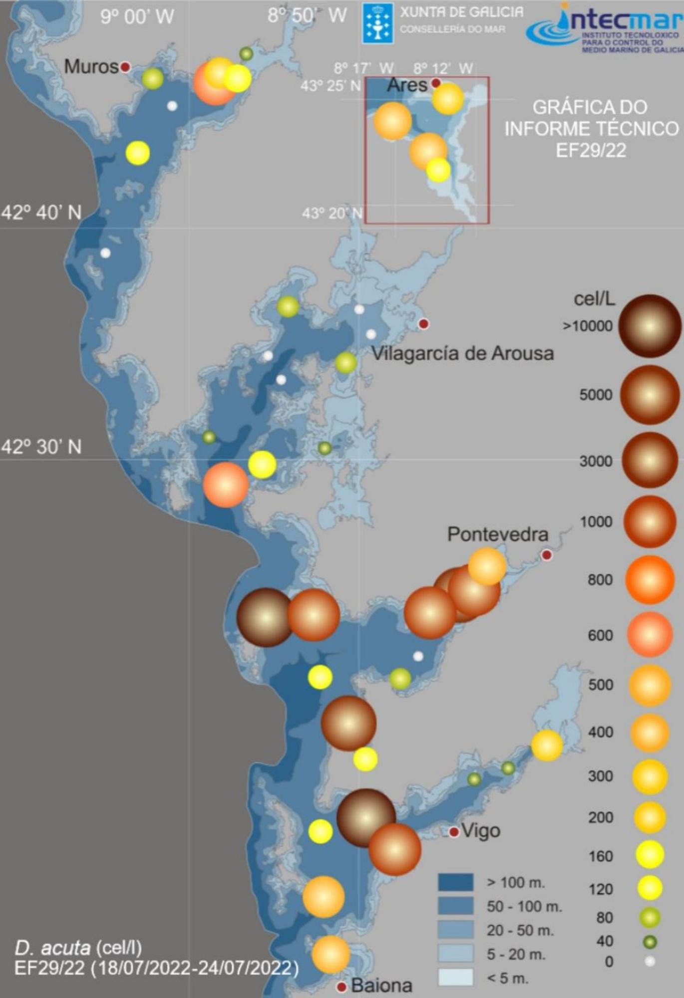 Gráfico en el que se muestra la intensa presencia de biotoxinas en las rías de Pontevedra y Vigo. |  // INTECMAR