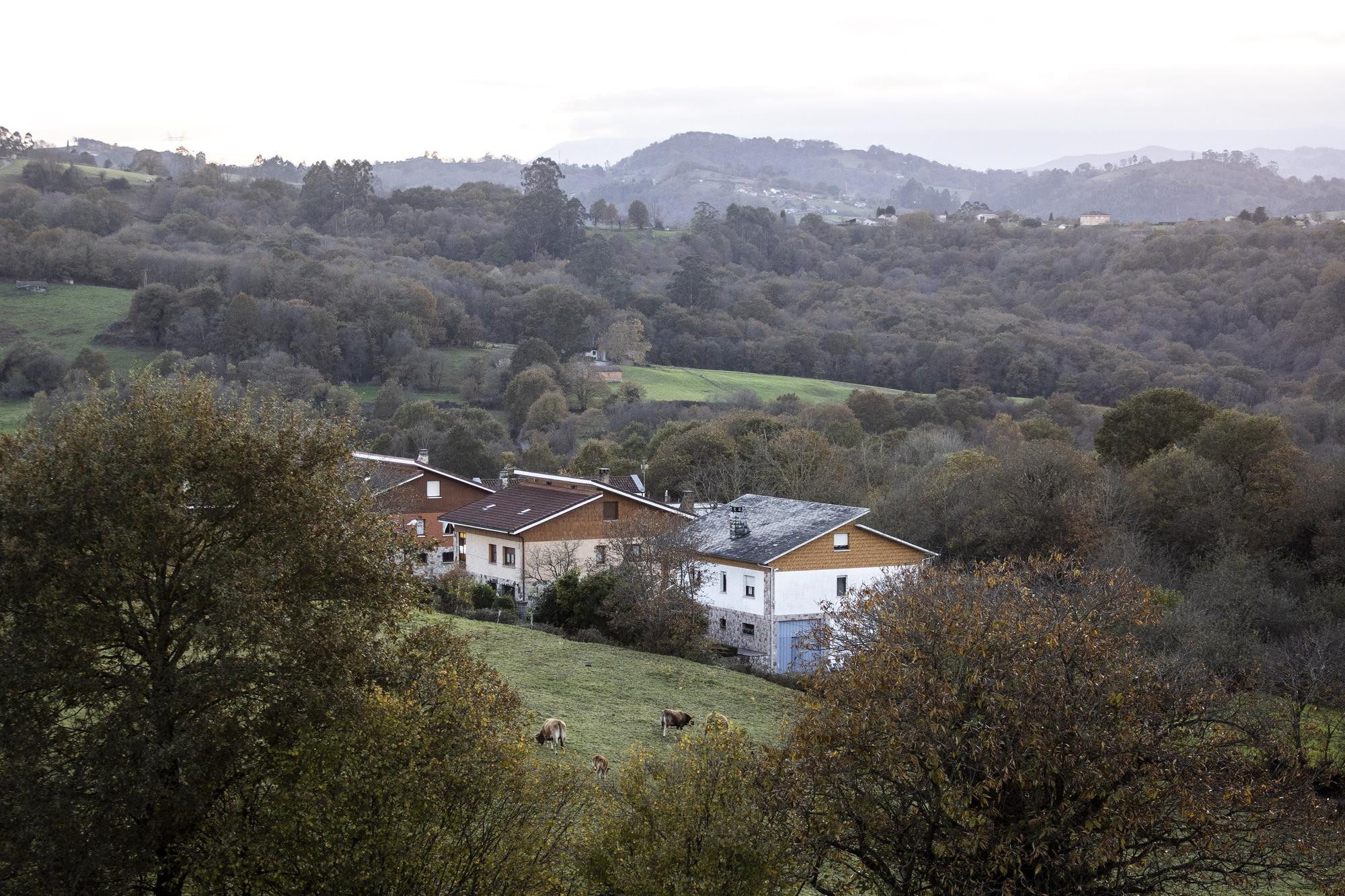 Asturianos en Siero, un recorrido por el municipio