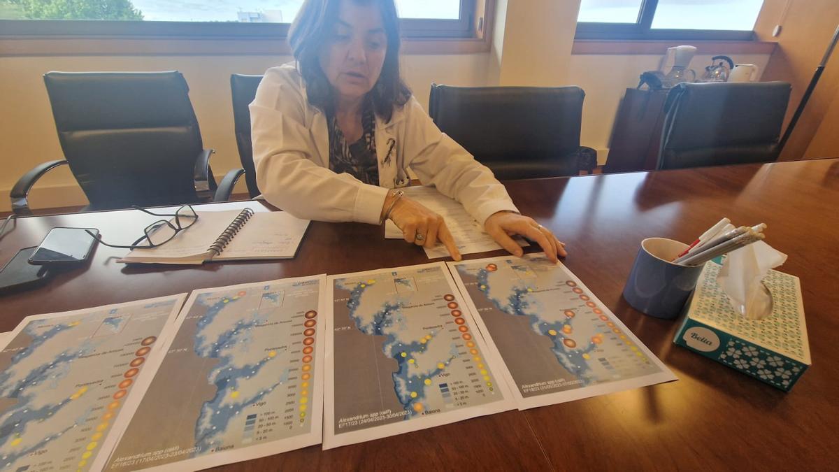 La directora del Intecmar, Covadonga Salgado, en una foto de archivo revisando planos en los que se muestra la evolución de las biotoxinas.