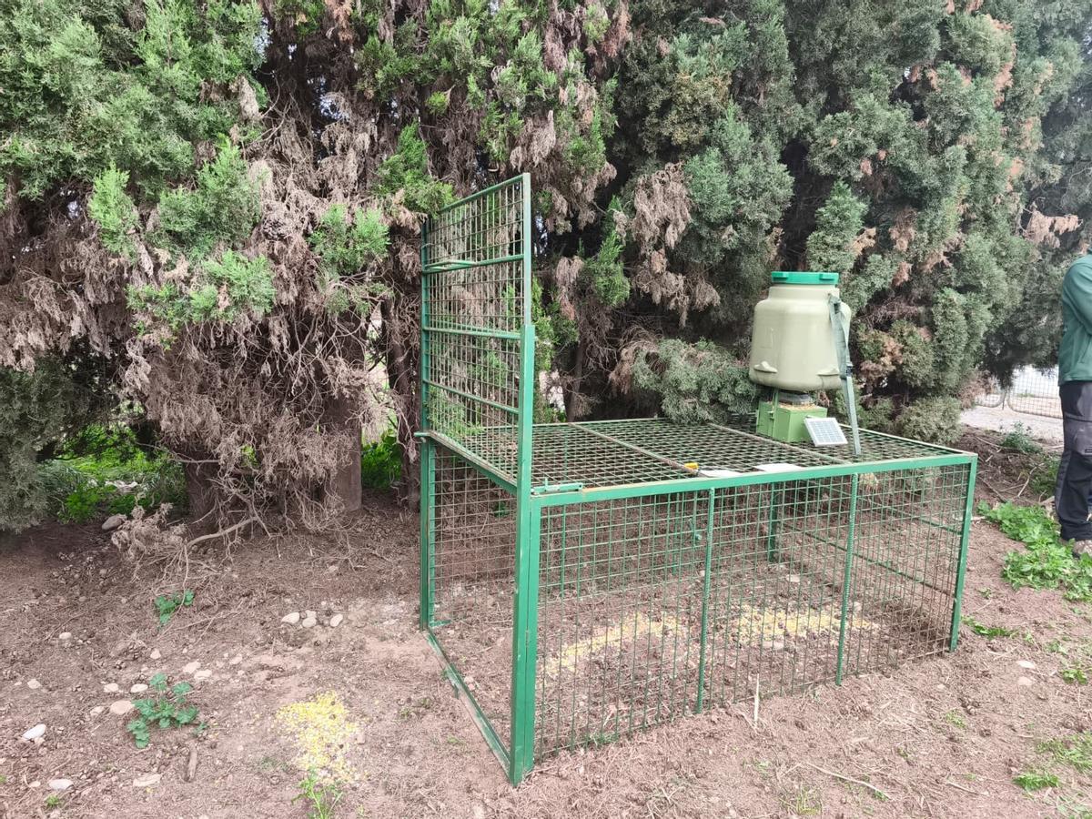 Deralle del las jaulas instaladas.