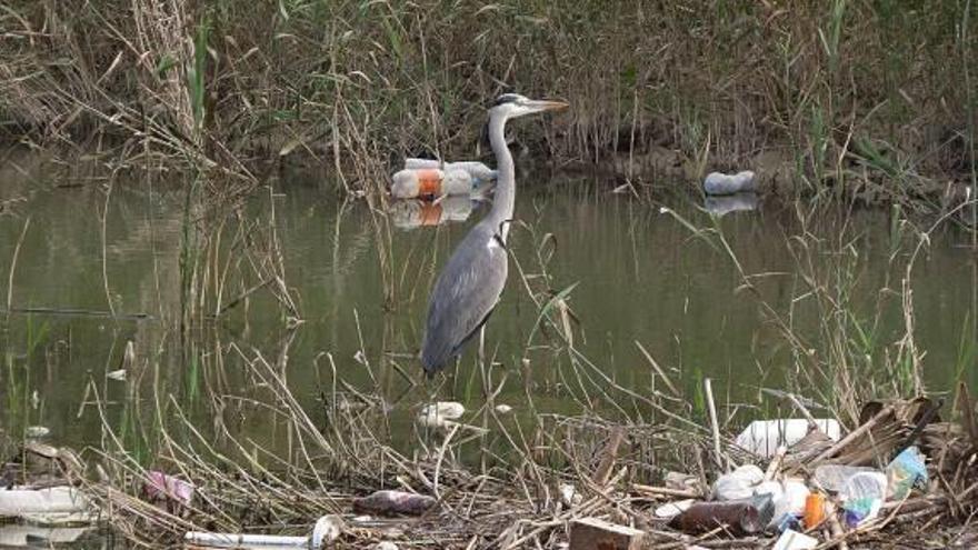 Ecologistas denuncian la basura acumulada en la desembocadura del río