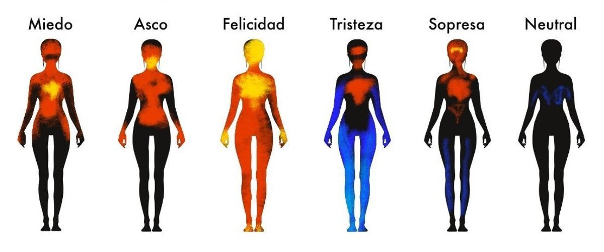 Del cor trencat al nus a la gola: què et ‘xiva’ cada part del cos de la teva salut mental Del cor trencat al nus a la gola: què et ‘xiva’ cada part del cos de la teva salut mental