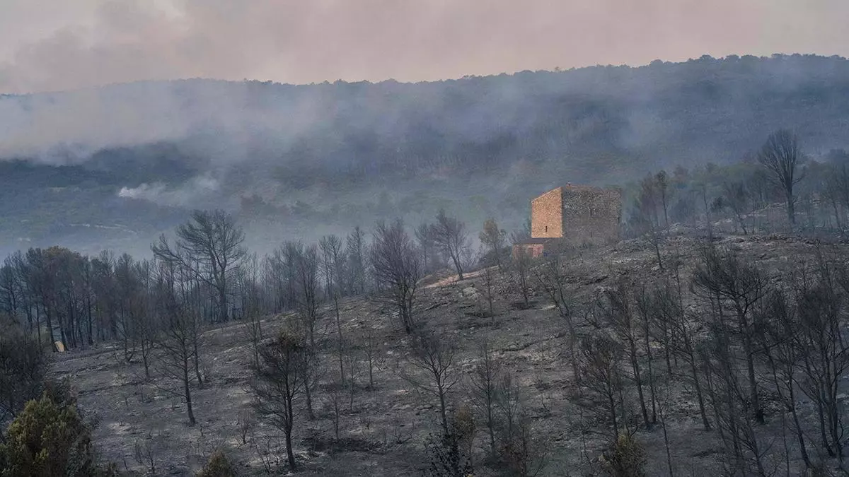 Los bomberos logran estabilizar el megaincendio del sur de Francia