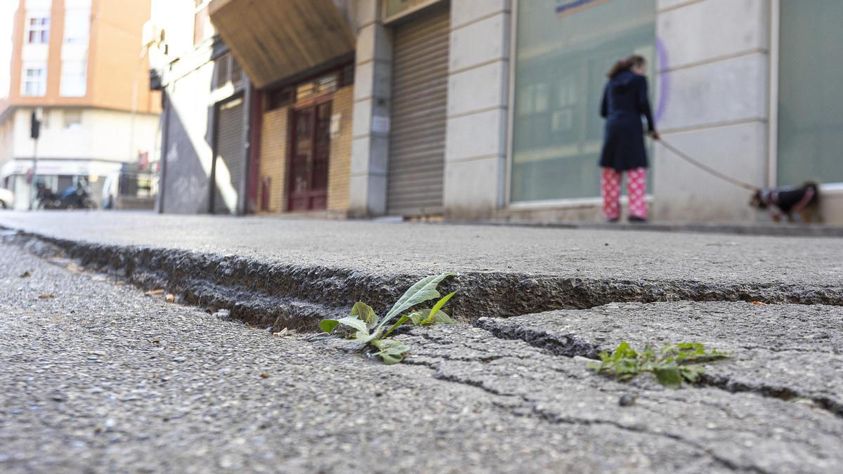 Un año con la calzada hundida y cortada al tráfico en la calle Pintor Otilio Serrano de Alicante