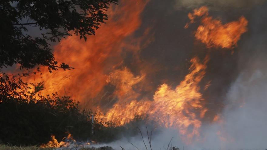 Investigan a un tractorista por causar un incendio forestal mientras desbrozaba