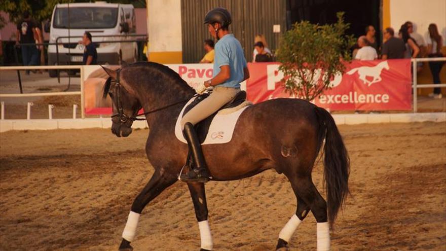 Del 13 al 15 se celebrará la feria del caballo y la artesanía