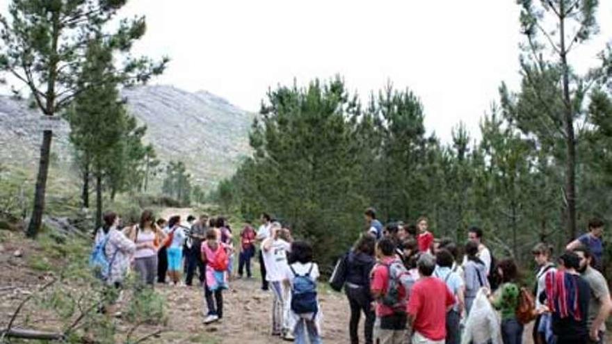 Alumnos durante su recorrido por una de las rutas. // Ceibes no monte