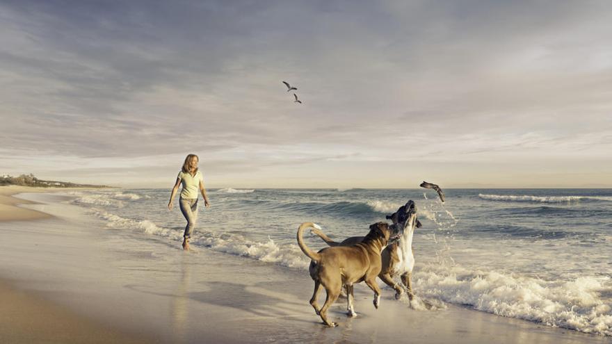 Una dueña jugando con sus dos perros a orillas del mar