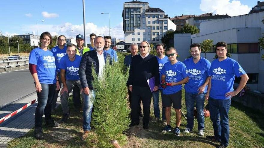 Plantación de 200 árboles para un paseo natural en Cambre