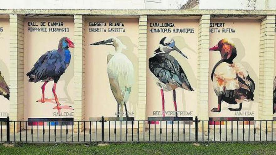 Mural de LLuïsa Penella en la Plaça La 
Llotgeta que representa a doce aves
 autóctonas .  l-emv