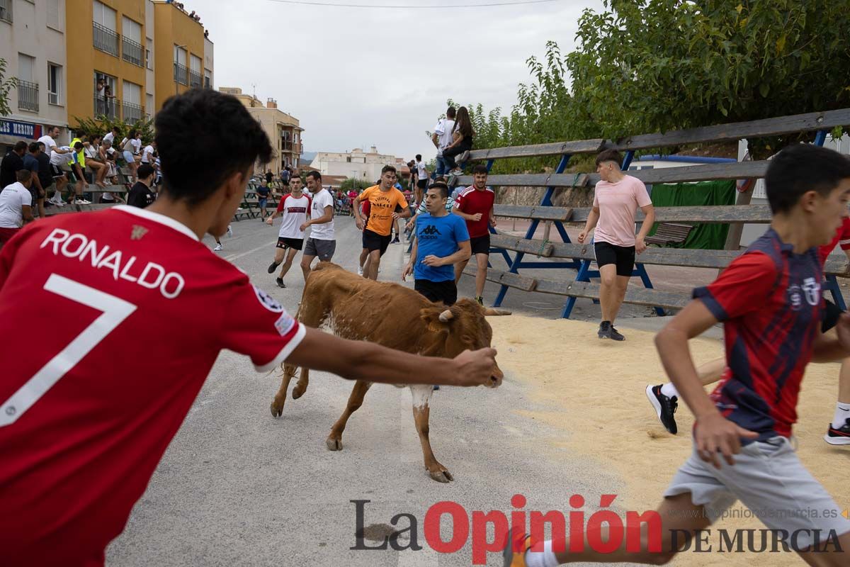 Chupinazo y encierro chico en Calasparra