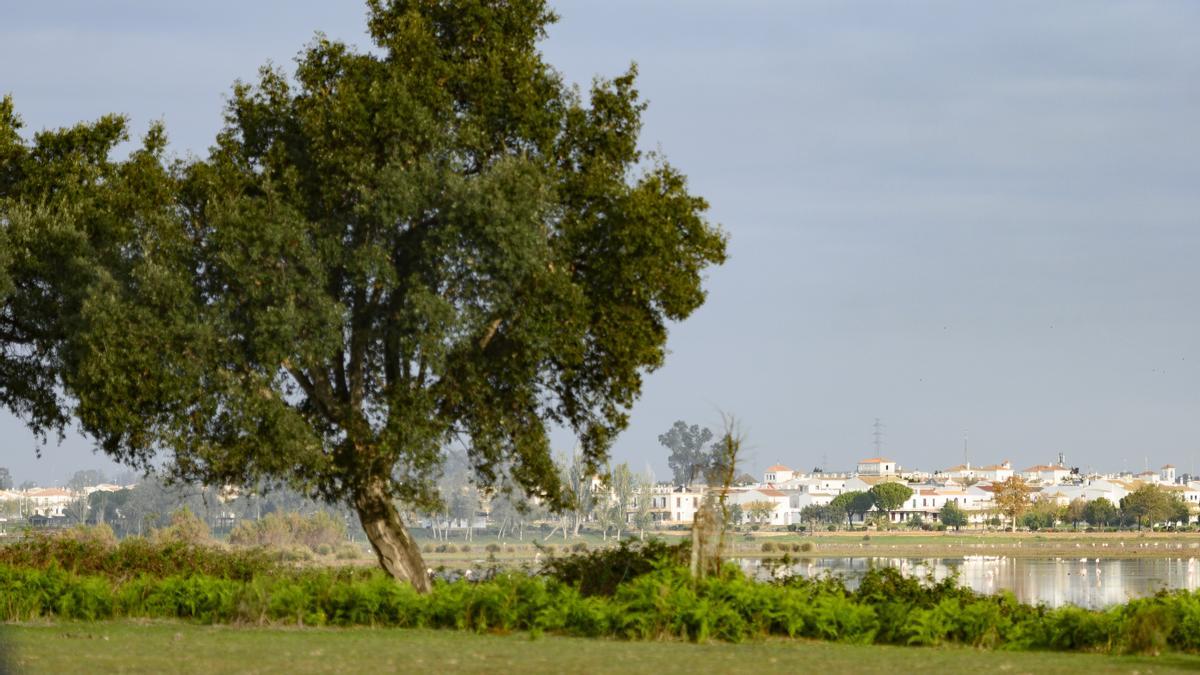 Vista de las marismas junto a la aldea de El Rocío en el Parque Nacional de Doñana.