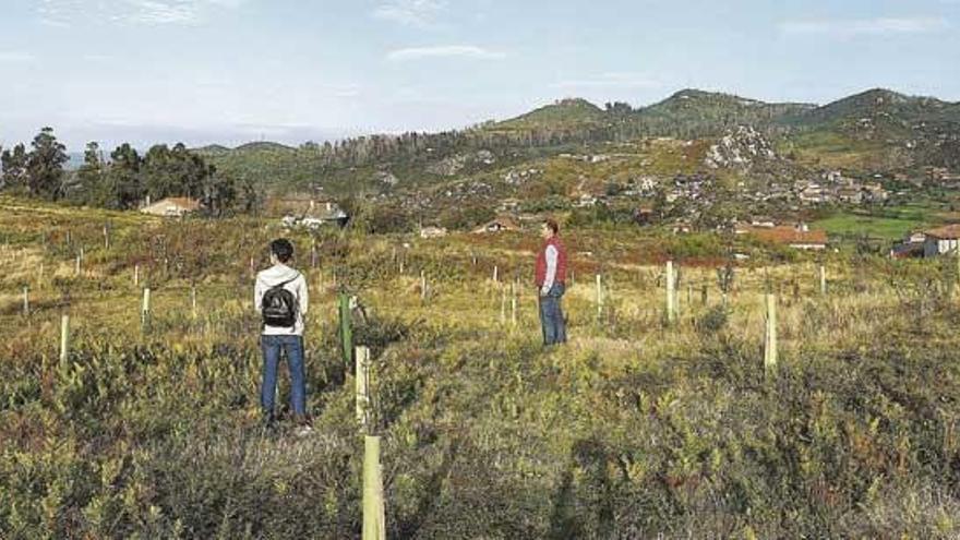 Tres años de recuperación desigual