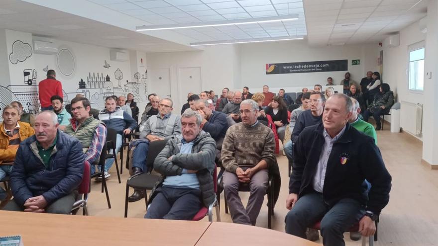 Charla informativa en la sede del Consorcio de Promoción del Ovino en Villalpando. | C. P. O.