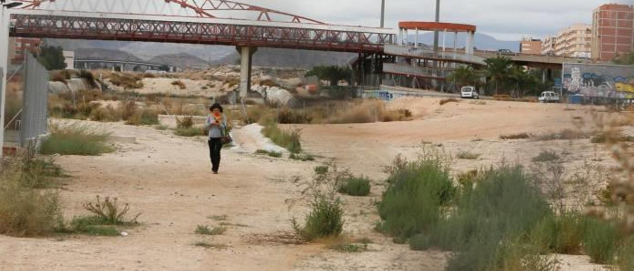 La decisión de abandonar Avant compromete el parque central