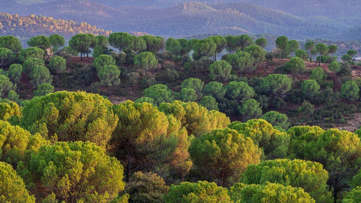 Es una joya de la naturaleza que no te deberías perder