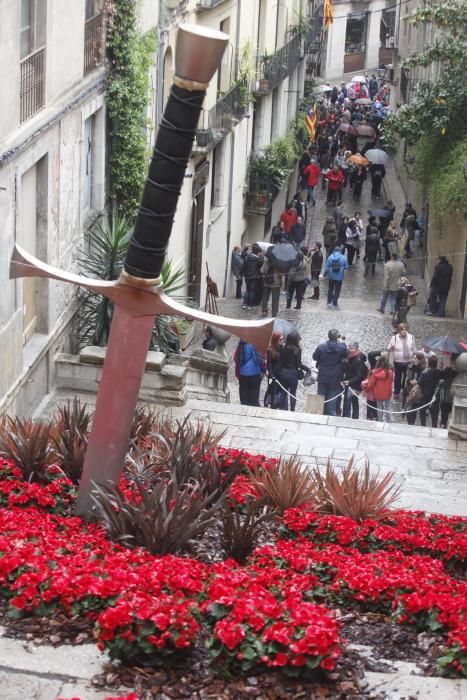 La pluja no desanima l'afluència de públic a «Temps de Flors»