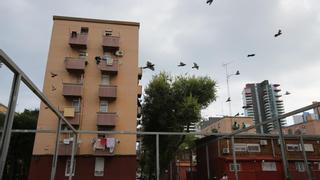 Herido un joven por una cuchillada en una pelea en la calle en Barcelona