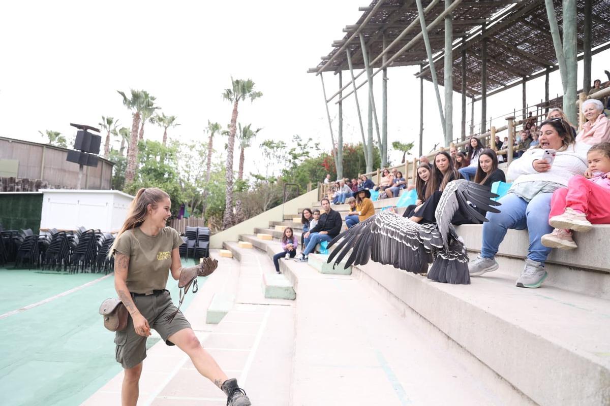 El foro Creciendo Juntos en TERRA NATURA, en imágenes