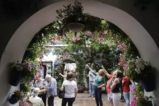 Los patios de Córdoba ganadores del concurso de 2023, en imágenes