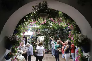 Paseo victorioso por unos patios de Córdoba de récord