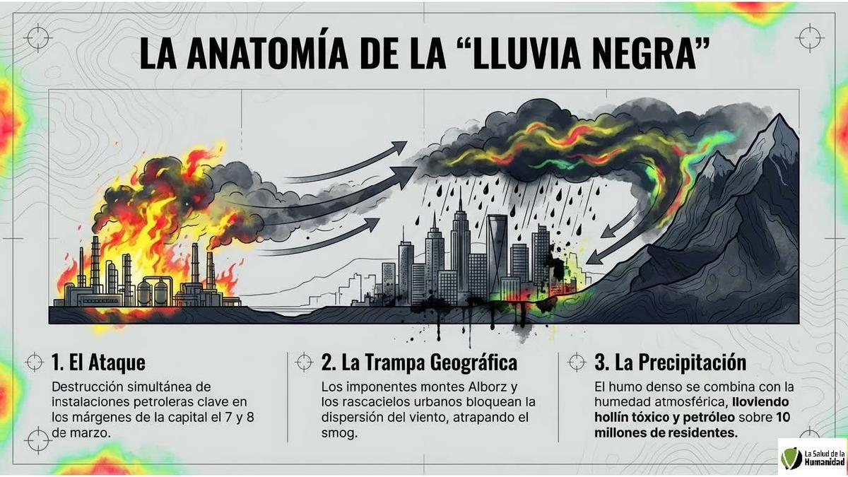 El devastador efecto ambiental de la guerra.