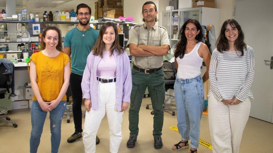 La leche de madres de prematuros tiene más moléculas mensajeras para el desarrollo del cerebro