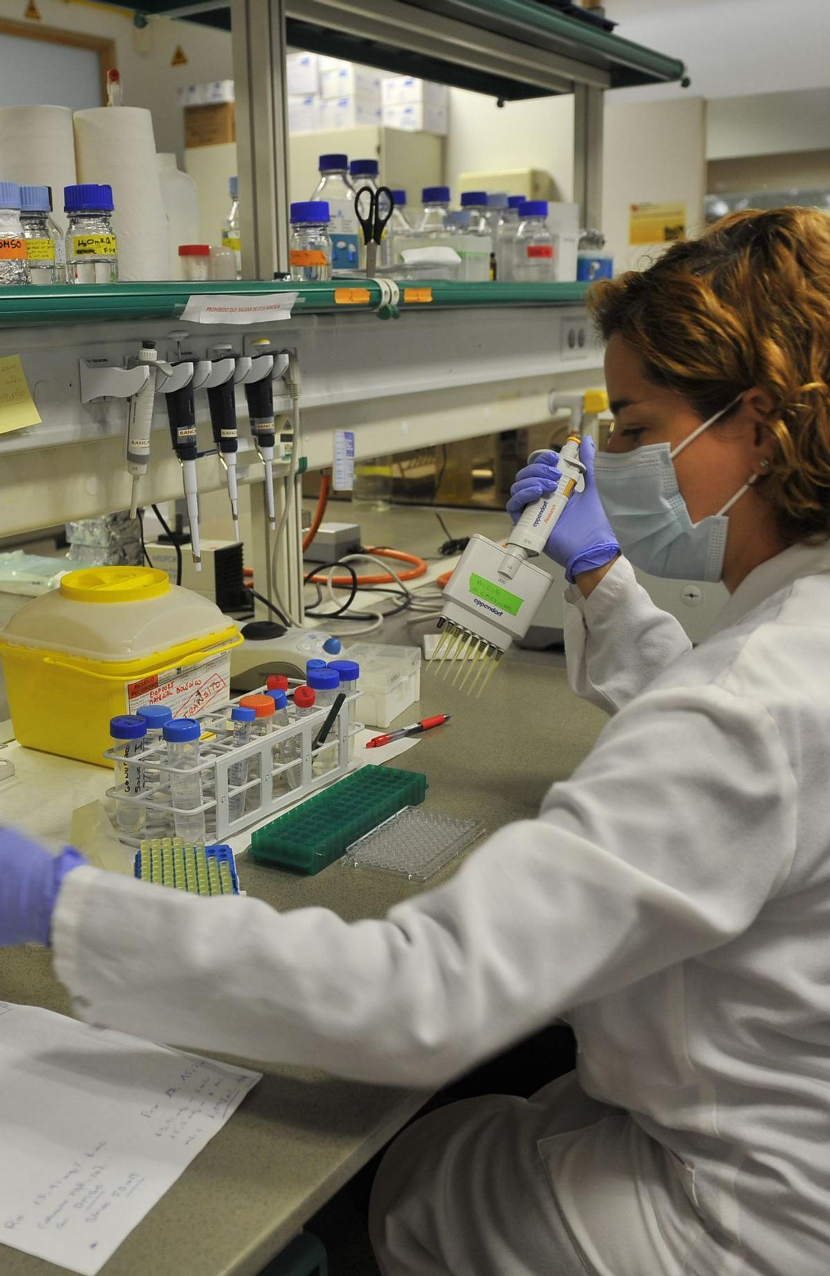 Una investigadora en un laboratorio de la Universidad Miguel Hernández. | MATÍAS SEGARRA