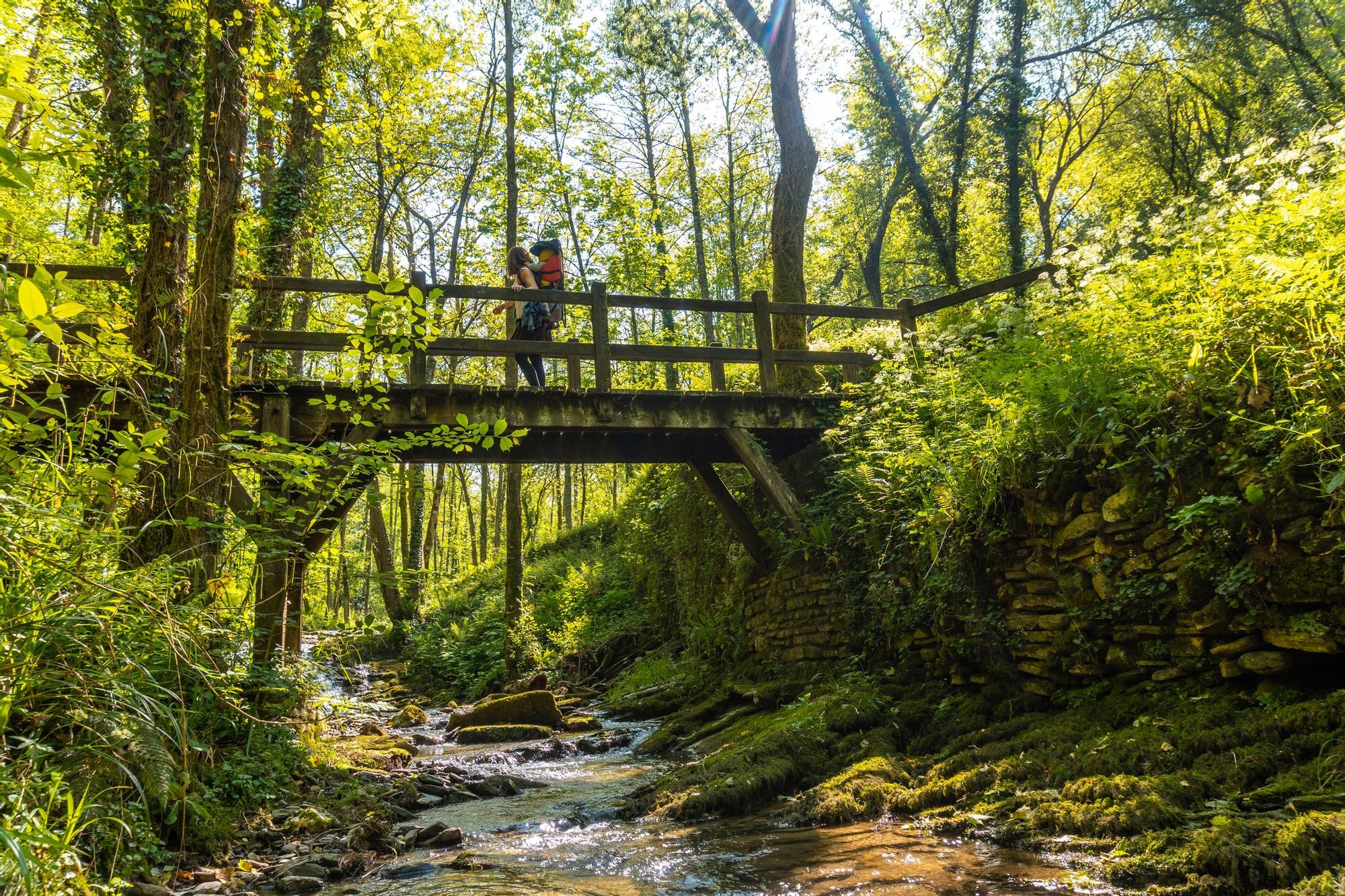 Este Parque Natural que no conces es uno de los más bonitos de España.
