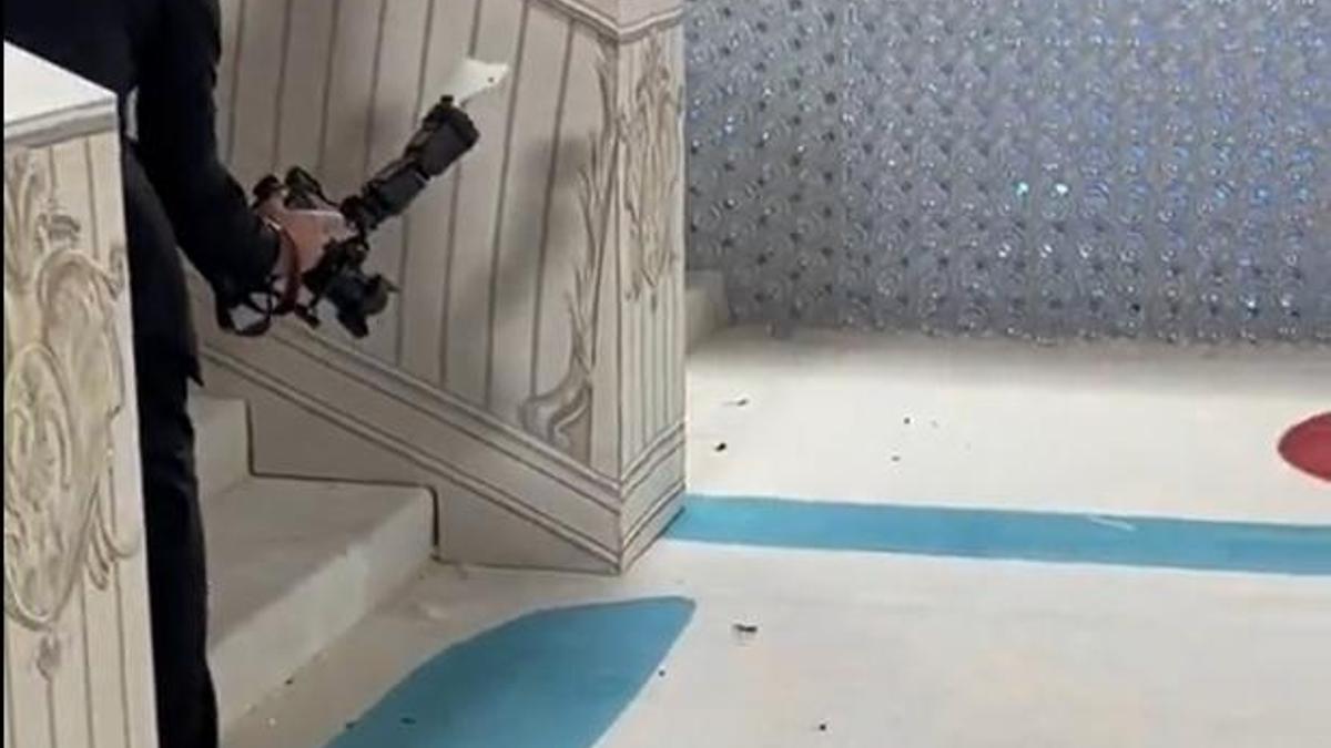 La cucaracha que se coló en la Met Gala