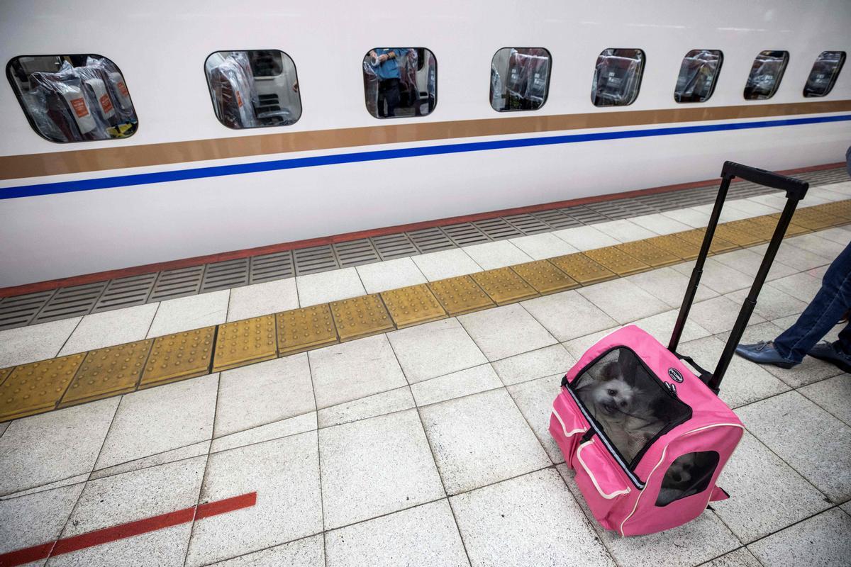 Una mascota en el andén de la estación de Ueno, en Tokio