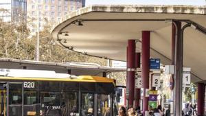 BCN remodelarà les parades de bus interurbà de Sants i Fabra i Puig