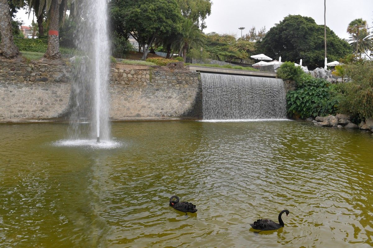 Entrada del parque Doramas