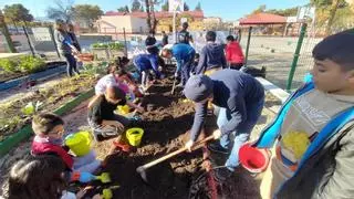 Regresan los huertos escolares y las rutas naturales a los colegios de Murcia