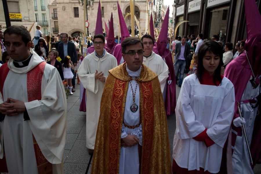 Semana Santa en Zamora: La Borriquita